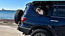 The dog enjoying the Y62 Emuwing